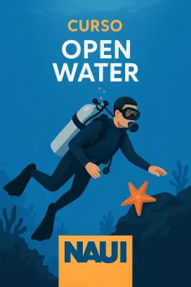 Afiche del curso Open Water